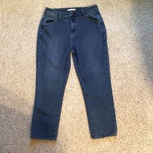 PacSun | Blue Jeans | Size 30